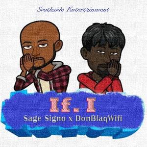 If I - acapella(feat. DonBlaqWifi)
