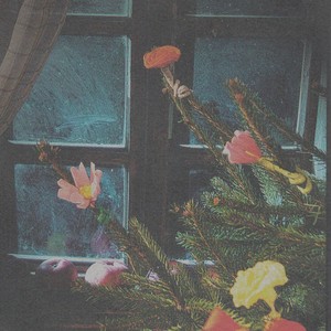 U sve vrime godista 5