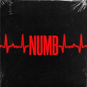 Numb (feat. Wolfie Moncler & Michael League) [Explicit]