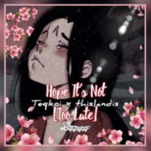 Hope Its Not Too Late (feat. thislandis & Teqkoi)