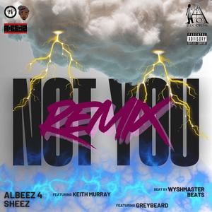 Not You (feat. Keith Murray & Greybeard) (Remix|Explicit)