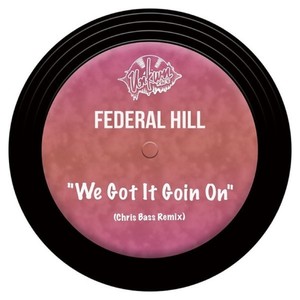 We Got It Goin On (feat. Karen Daughtry) (Chris Bass Instrumental Remix)
