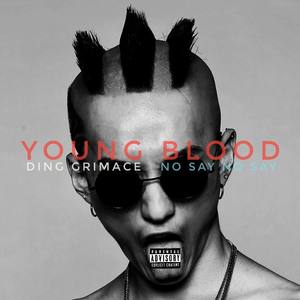 Britney Spears-YOUNG BLOOD (DING Grimace remix)