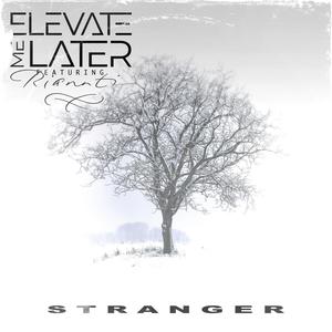 Stranger (feat. Riannti)