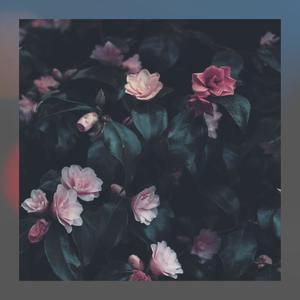 Think About You(feat. Darkforestdrives)