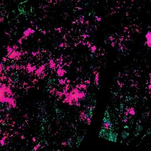 bitCRUSH (feat. Bopo) (Explicit)