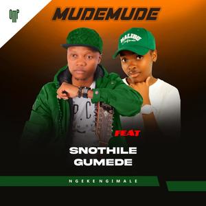 Ngeke Ngimale (feat. Snothile Gumede)