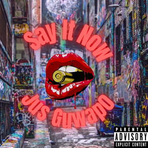 Say It Now (Explicit)