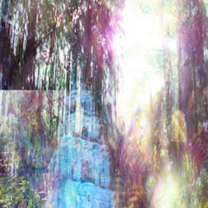 Switchin Dimensions (Explicit)