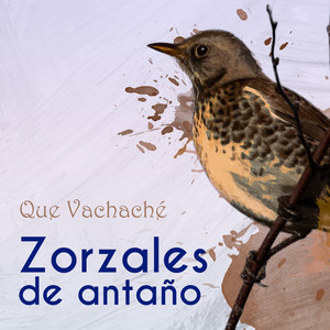 Zorzales de Antaño… Que Vachaché