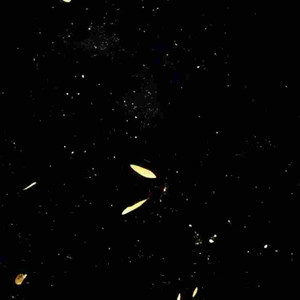 SEMPERO (PHONK燃爆)