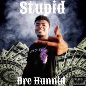 Stupid (Explicit)