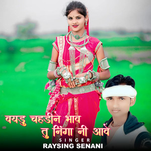 Baydu Chahadine Bhav Tu Ninga Ni Aave