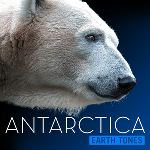 Earth Tones: Antarctica