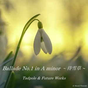 Ballade No.1 in A minor ~ 待雪草 ~