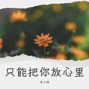 只能把你在我放心里