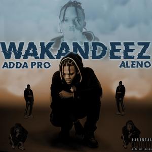 Wonderin'(feat. Alëno & Yung G) (Explicit)