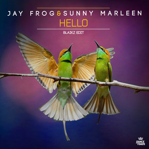 Hello (Extended Mix)