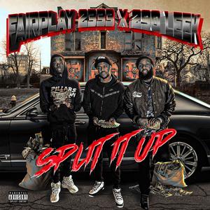 Split It Up (feat. Leek Muney & 290 Roe) [Explicit]