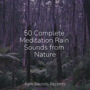 Midnight Lullabies for Lonely Souls