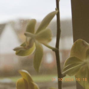 all your heart (Explicit)