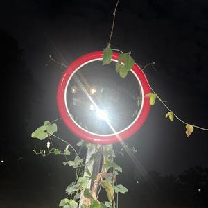 Eternal Mirror