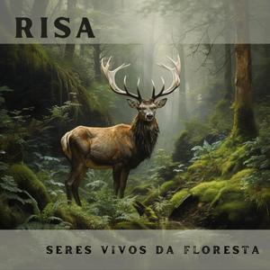 Seres Vivos da Floresta