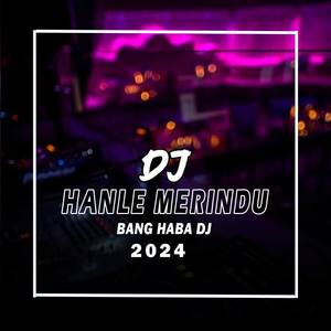 DJ Hanle Merindu (Remix Aceh)