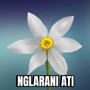 NGLARANI ATI