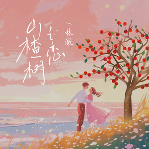 山楂树之恋 (2025版)