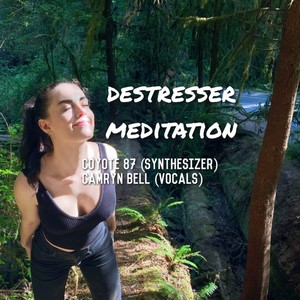 Destresser Meditation (Vinyl Mix)