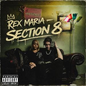 Section 8 (Explicit)
