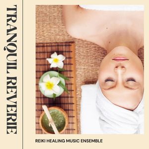 Tranquil Reverie: Massage Music