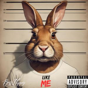 Like Me (Explicit)