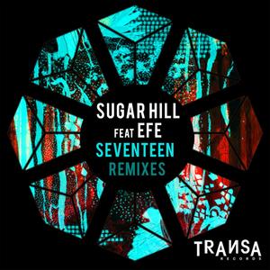 Seventeen (feat. Efe) [Remixes]