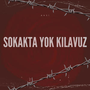 SOKAKTA YOK KILAVUZ (Explicit)