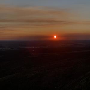 with out my accomplice (Explicit)