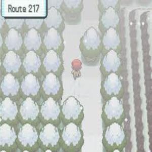 route 217 (Explicit)