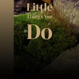 Little Things You Do