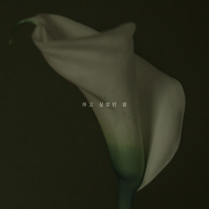 하고 싶었던 말 (想说的话)