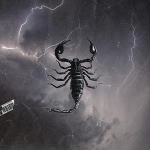 TikTok (Slowed) (feat. Cha'keeta B) (Explicit)