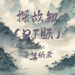 探故知 (DJ版)