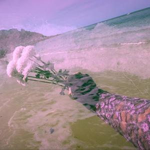 Salt Bound (Explicit)