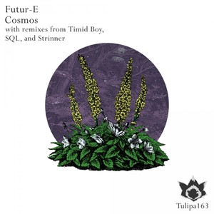 Mycenaean Princess (Strinner Remix)