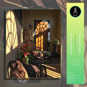 Houseplant Canvas