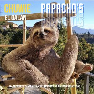 Chuwie el Galán (feat. Alejandro Bastidas)