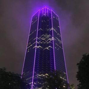 Purple Rain (Explicit)