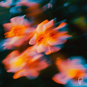 Memorabilia (Koelle Remix)