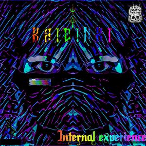 Internal Experience