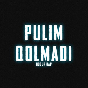 Pulim Qolmadi